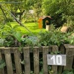 South Darley Allotments